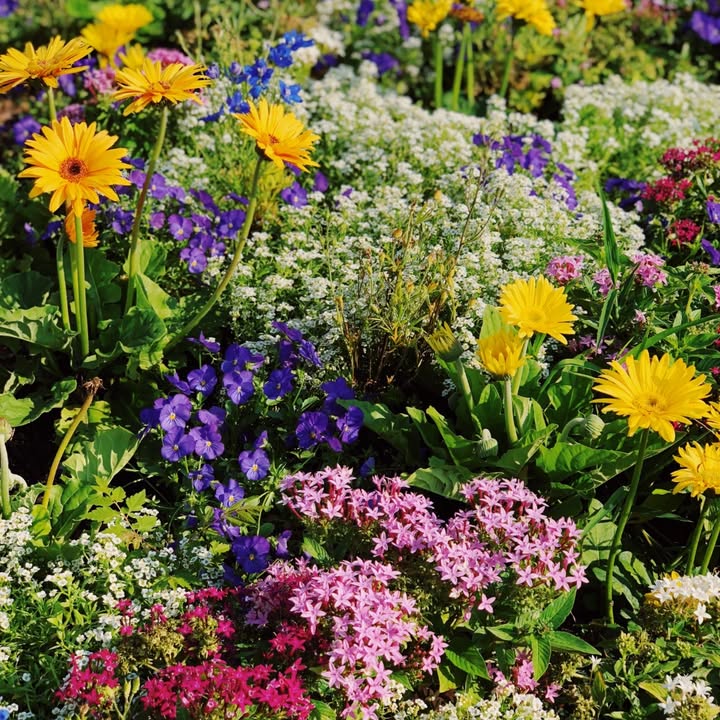 If you have a green thumb, you can use it...