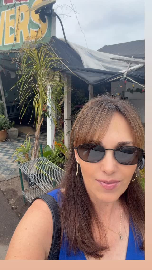 Instagram Posts