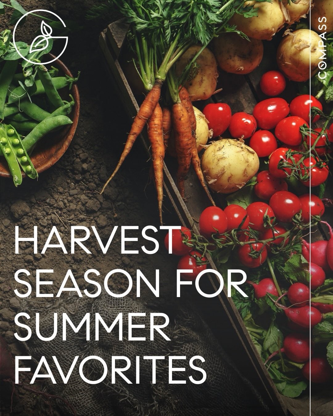 I personally have been using the tomatoes from the garden...