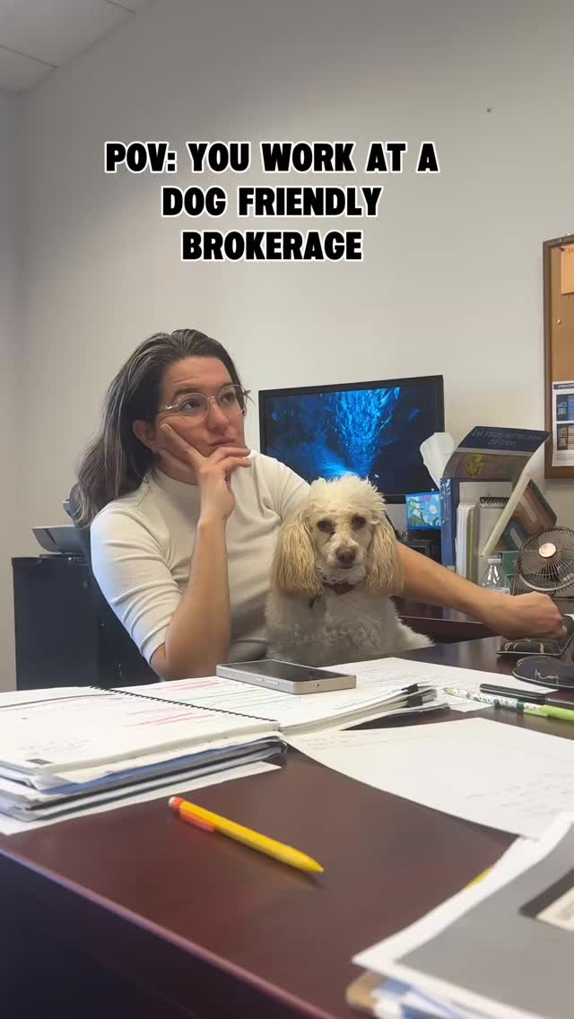 When the office comes with wagging tails, surprise visits under...