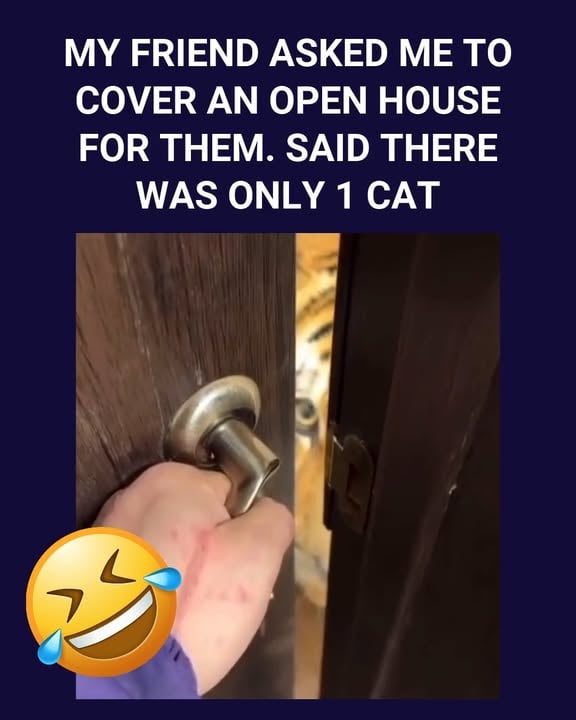 I can handle all your housing needs.