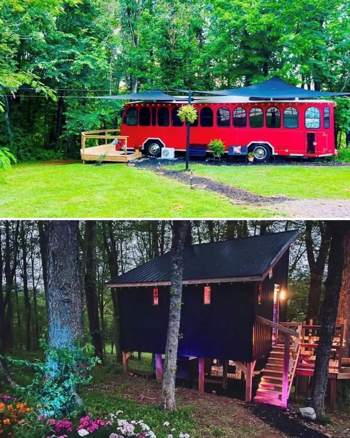 TN-True North Real Estate Services