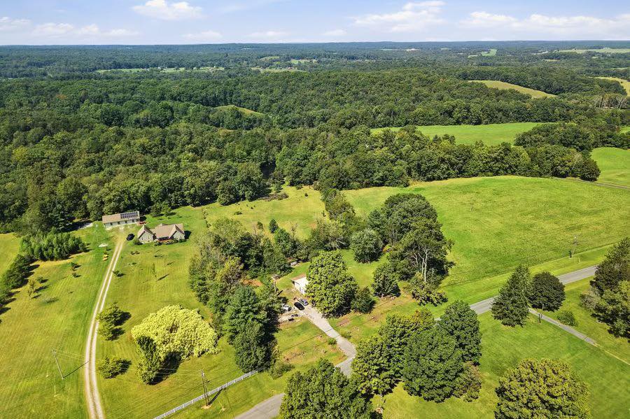 TN-True North Real Estate Services