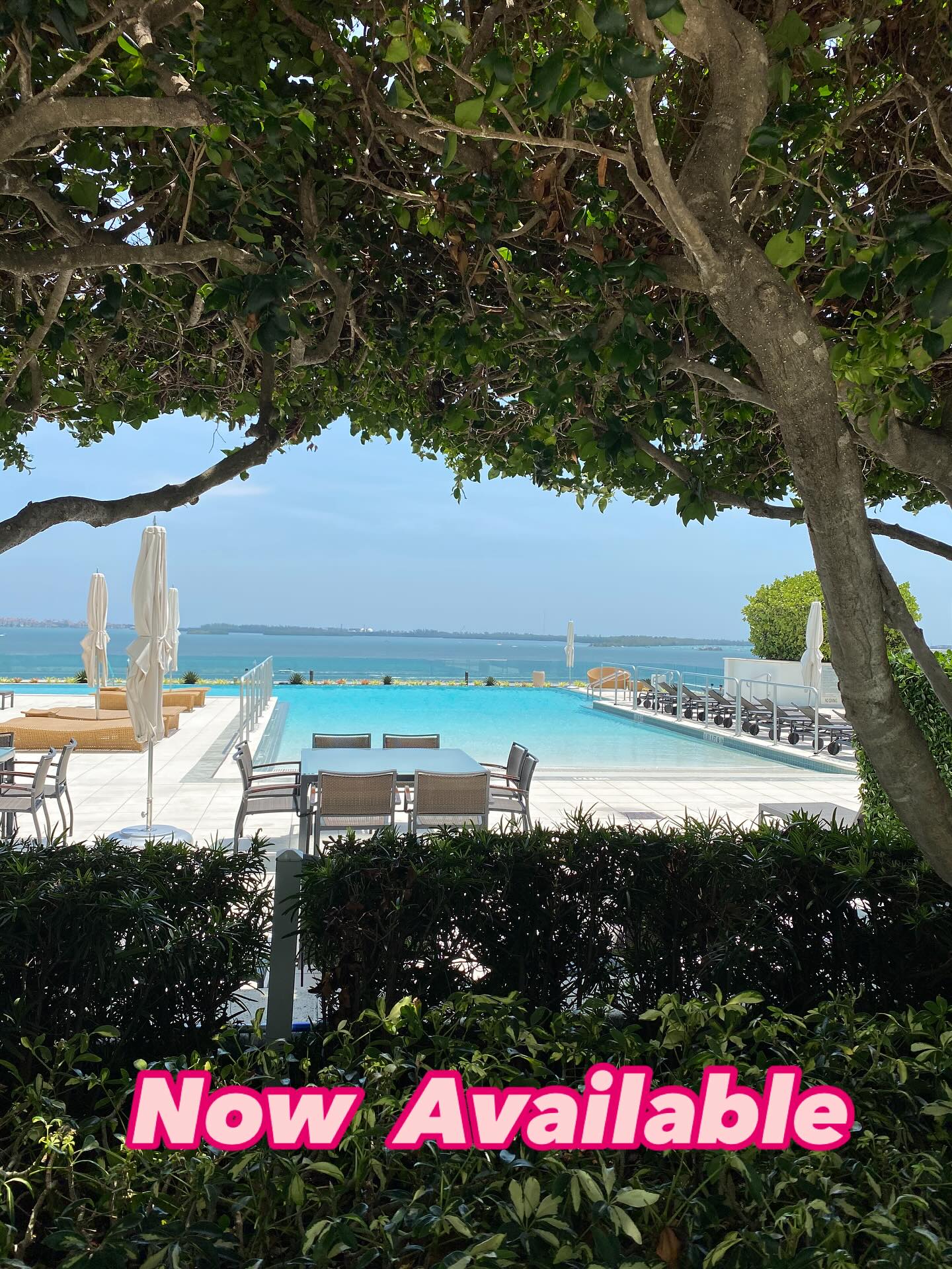 1331 Brickell Bay Drive “Jade Residence” 1800 plus square feet, 2 bed , 2.5 bath. Oversized privately located terrace by the pool and gym. @thenathanquick1 #homesearchsouthflorida #thenathanquick1 #luxuryrealestateflorida #brickellmiami