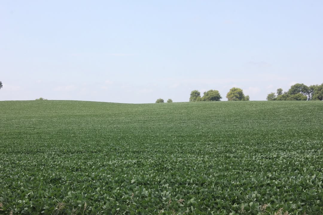 Advanced Notice! 1,100 acres of prime Minnesota Tillable Farmland and...
