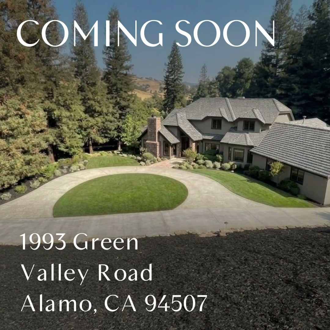 The Lacy Real Estate Team