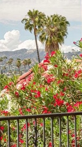 Leslie LA Home