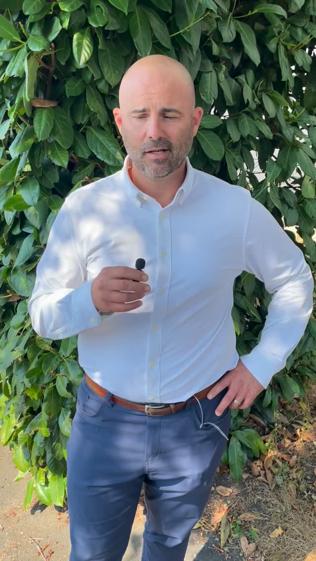 Insta 3
